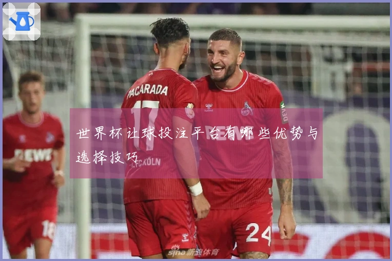 世界杯让球投注平台有哪些优势与选择技巧