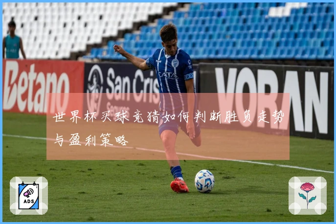 世界杯买球竞猜如何判断胜负走势与盈利策略