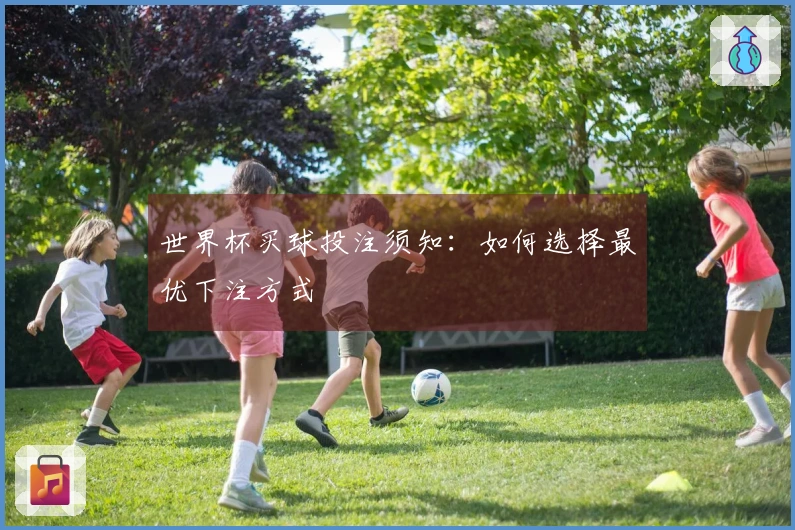 世界杯买球投注须知：如何选择最优下注方式