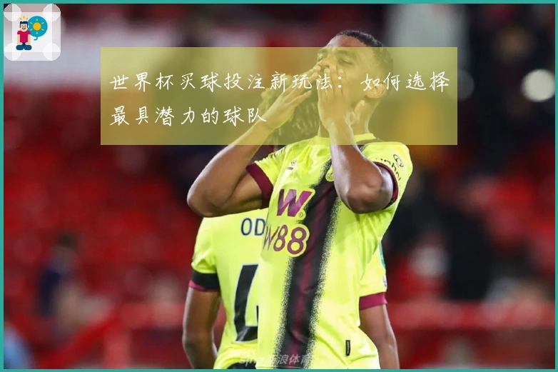 世界杯买球投注新玩法：如何选择最具潜力的球队