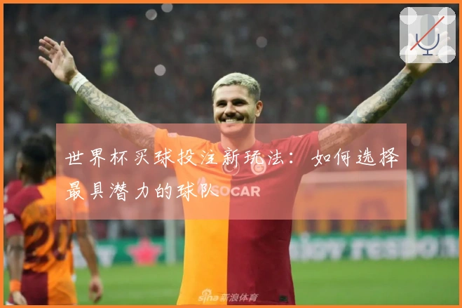世界杯买球投注新玩法：如何选择最具潜力的球队